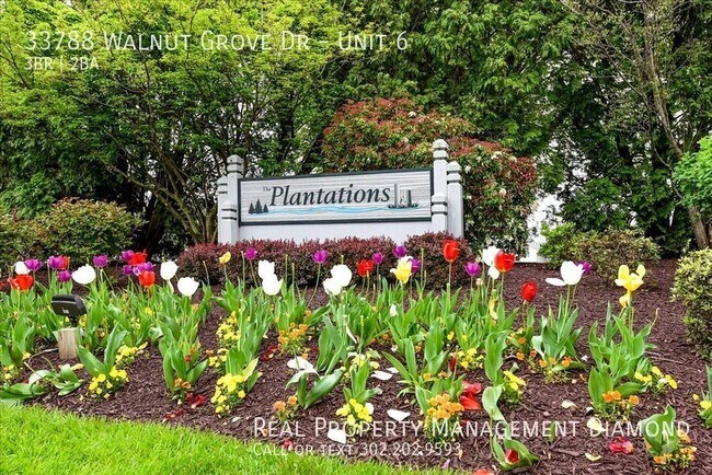 Building Photo - 33788 Walnut Grove Dr