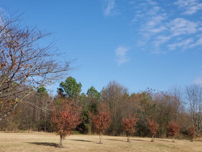 Foto del edificio - Greenwood Pointe