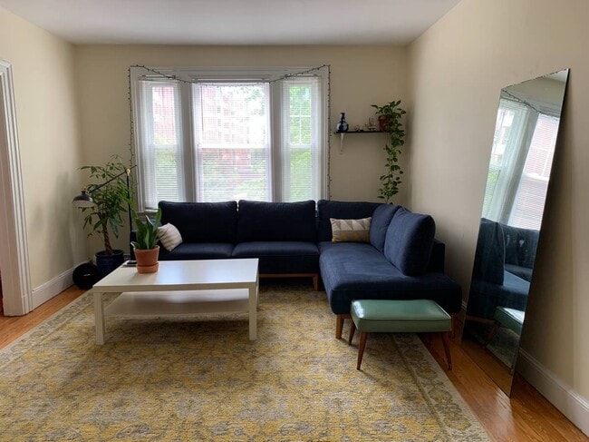 sunny living room - 211 Fountain St