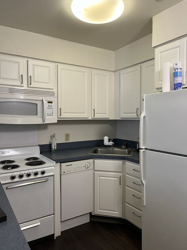 Interior Photo - 407 College Ave — Collegetown’s Best-Kept Secret