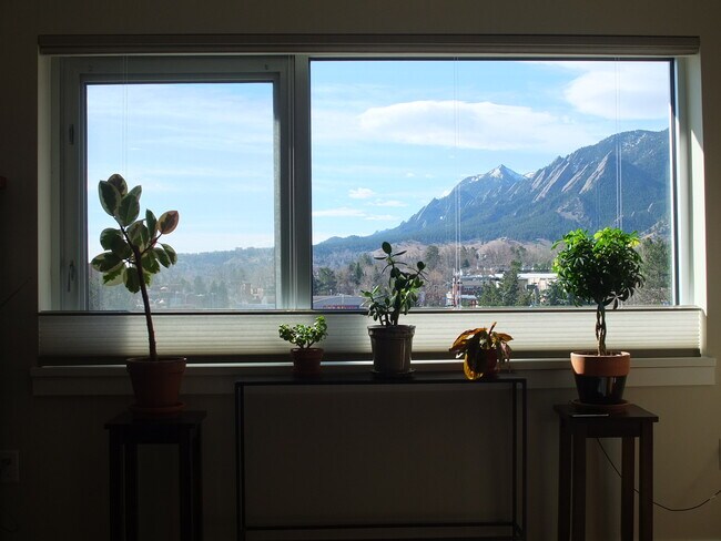 Flatiron views - 1201 Balsam Avenue