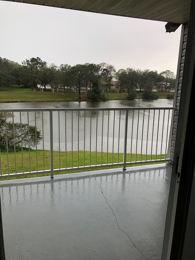 Foto principal - 2508 Grassy Point Dr