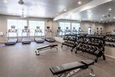 This fitness center offers a comprehensive workout environment designed to accommodate a wide range of exercise needs. The space is generously sized, with an open layout that provides ample room to move freely between equipment stations without feeling cramped.

The cardio zone features a row of treadmills equipped with individual display screens, positioned along a windowed wall that allows natural light to filter in and provides views of surrounding greenery. Additional cardio equipment, including ellipticals and stationary bikes, rounds out this section.

The strength training area is equally well-appointed, housing multiple cable and selectorized machine stations suitable for targeting various muscle groups. A dedicated free weights section includes a full rack of dumbbells in graduated sizes, accompanied by flat and adjustable benches for versatile lifting options.

Floor-to-ceiling mirrors line multiple walls throughout the facility, visually expanding the space and allowing users to monitor their form. Recessed lighting and ceiling fans maintain a comfortable atmosphere, while rubber flooring provides durable, slip-resistant coverage throughout. Wall-mounted televisions are positioned for easy viewing. Double doors offer convenient access to and from the facility.