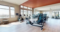 Located at 7800 Crowfoot Valley Rd in Parker, CO, this 2,120-square-foot single-floor fitness center is a well-appointed and thoughtfully designed workout facility. The space features a striking architectural aesthetic highlighted by a bold terra-cotta-toned slatted wood ceiling accent that adds warmth and visual interest to the main exercise floor. Light hardwood flooring runs throughout the primary workout areas, while a rubberized tile surface anchors the dedicated strength training zone.

Large windows line the perimeter walls, flooding the interior with natural light and offering views of the surrounding Parker community. The main floor houses a comprehensive cardio section equipped with treadmills, ellipticals, stationary bikes, rowing machines, and stair climbers. A separate strength-focused area features cable machines, multi-functional training rigs, adjustable benches, and a full dumbbell rack, all complemented by floor-to-ceiling mirrors.

A glass-walled studio room, visible from the main floor, provides space for group fitness or functional training with stability balls and open floor area. The entrance area features contemporary wall art and sleek cabinetry, contributing to the facility's modern, upscale ambiance. Ceiling fans and recessed lighting ensure comfort throughout the space.