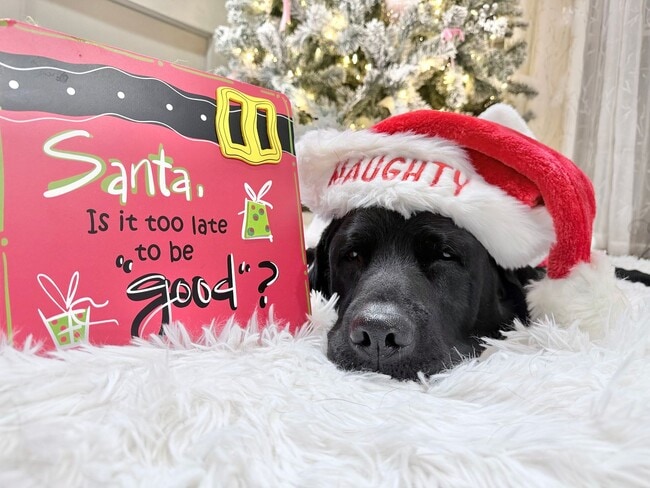 Foto del edificio - Good news! Making Santa's good list means free application fees until Friday!