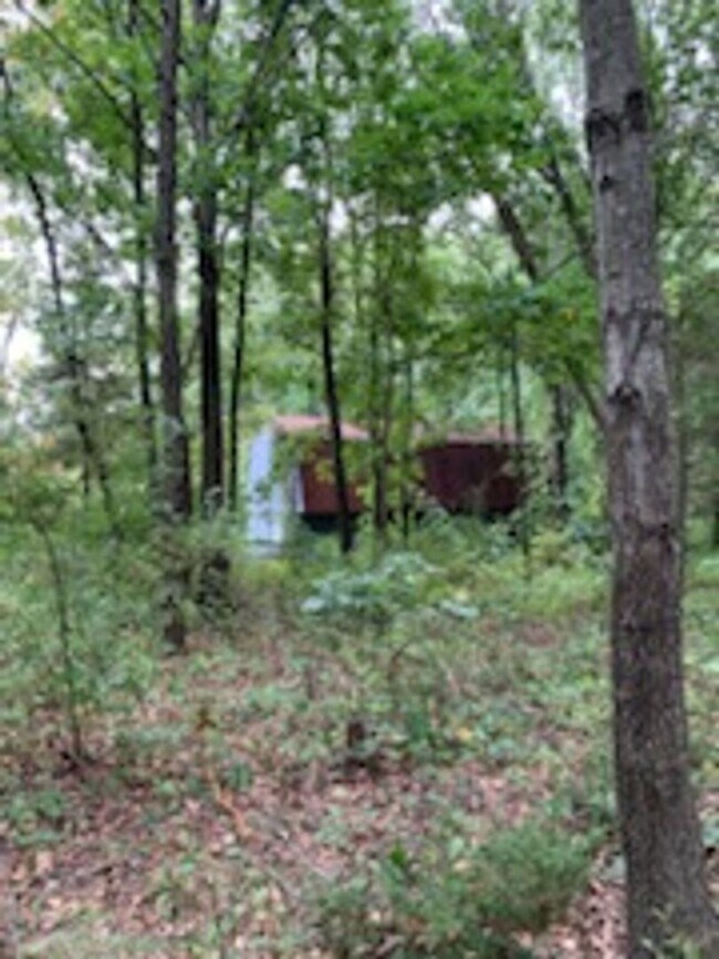 Building Photo - 4 BEDROOM HOUSE IN PINCKNEY ON 10 ACRES!