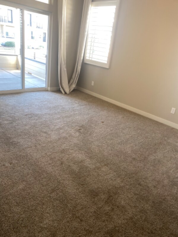 1159 W Jackson Ave, Farmington, UT 84025 Townhome Rentals in