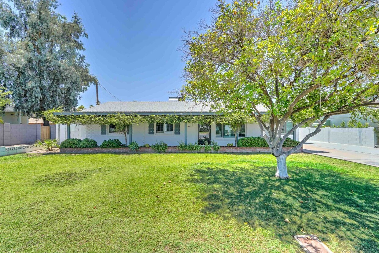 Primary Photo - READY TO VIEW NOW! Stylish 4-Bed Arcadia L...