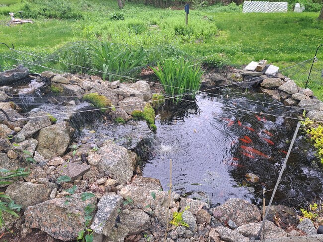 Foto del edificio - 7 Orchard Hill Rd