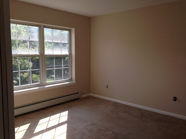 Fotografía del edificio - 295 Hildred Dr