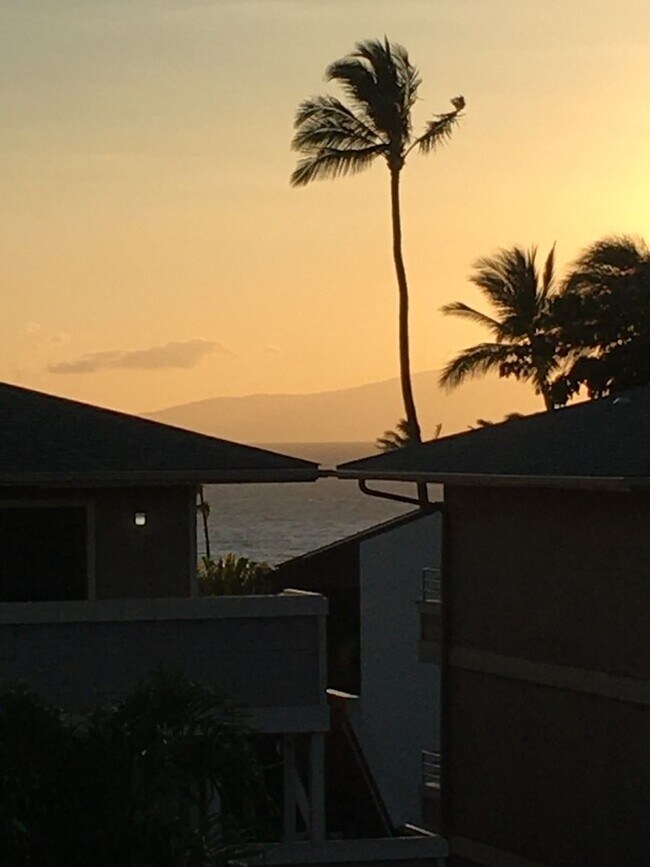 Foto del edificio - Recently Updated Top Floor Kihei Shores Un...