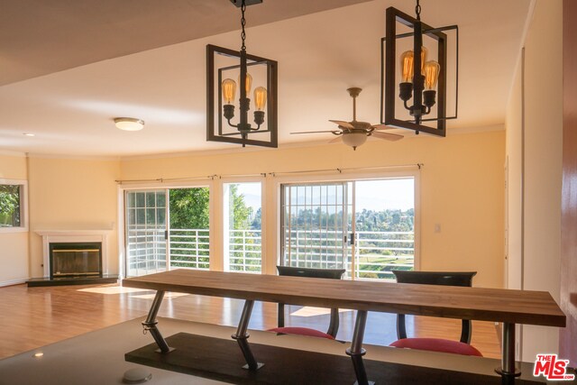 Building Photo - 4342 Coronet Dr
