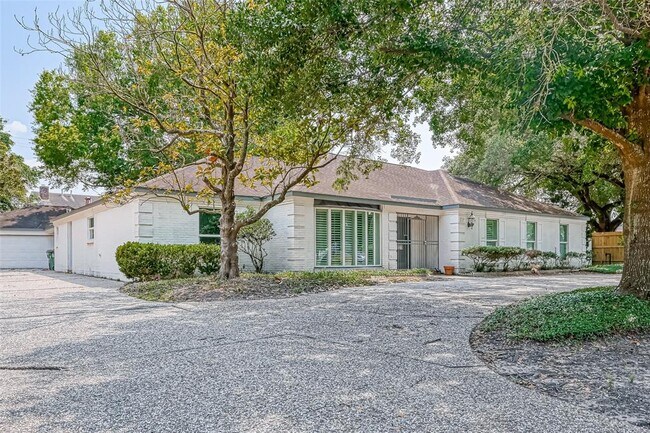 Foto del edificio - 5319 S Braeswood Blvd