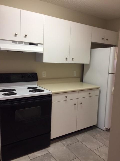 Foto del edificio - 153 Winter Chase Ln