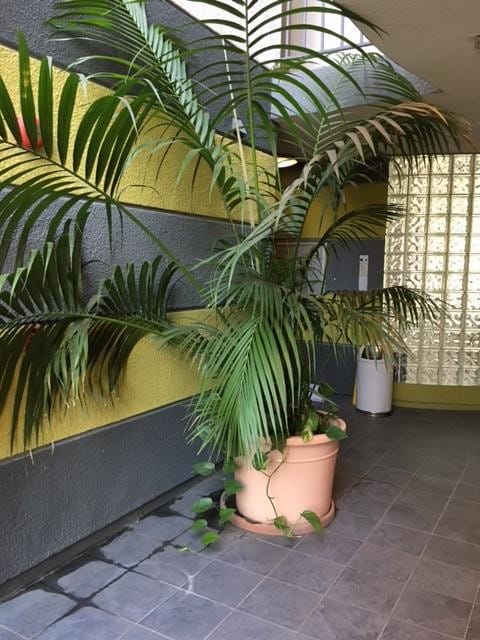 Building Photo - 884 Palm Ave