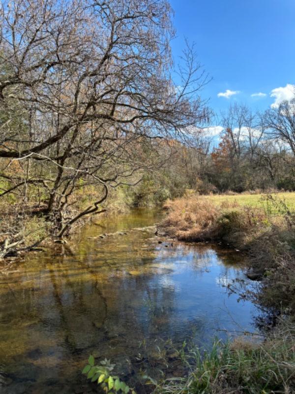 Building Photo - 8972 Horton Hwy