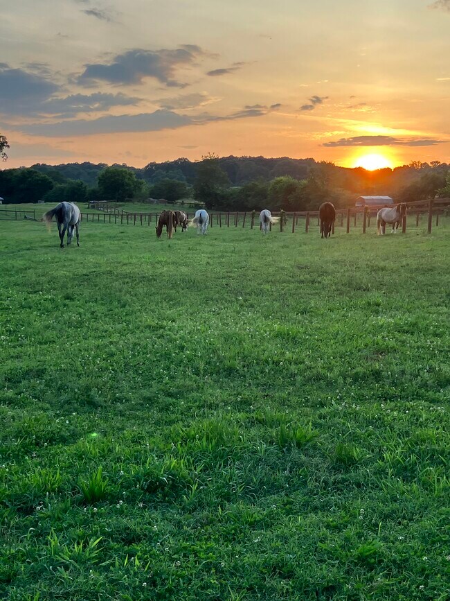 Foto del edificio - 138 Davis Farms Rd