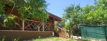 Building Photo - 299 Willow Springs Dr