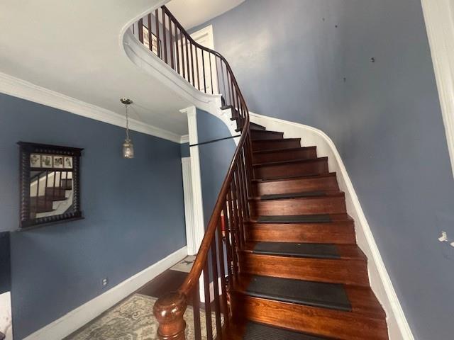 Foto del edificio - 52 Manning St