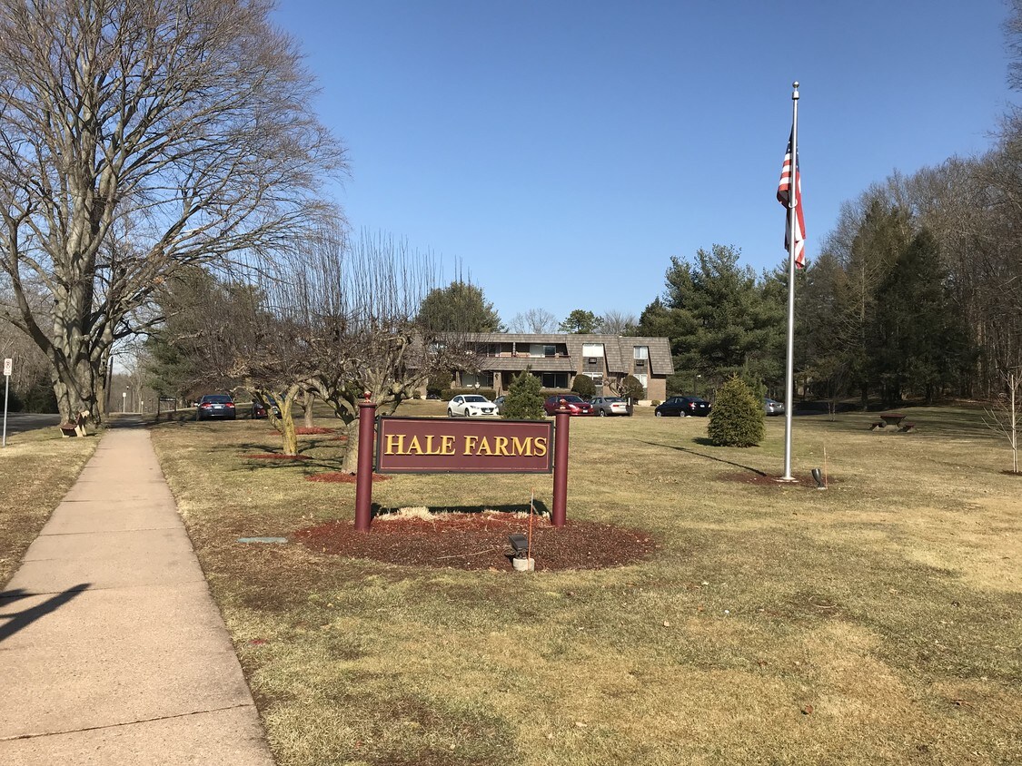 38 Rambling Brook Ln, Glastonbury, CT 06033 Condo for Rent in