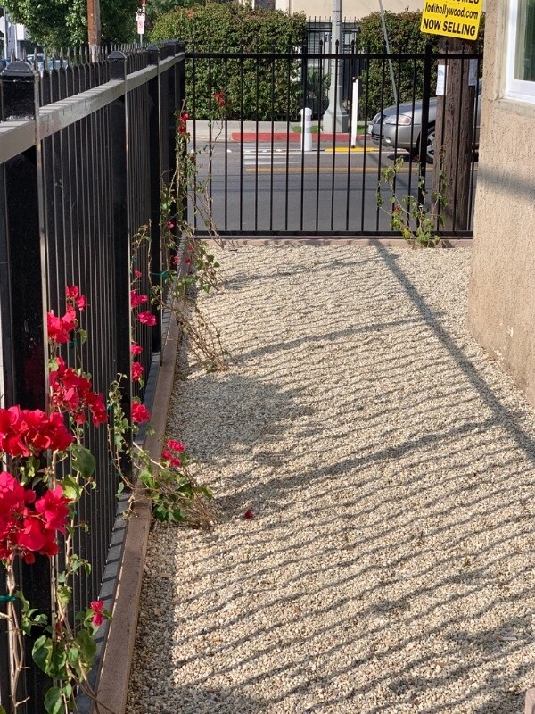 Foto del edificio - 6071 Lexington Ave