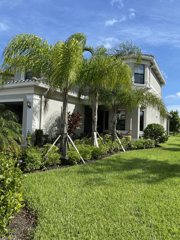 Outside - 4516 Aurora St