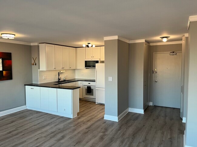 Foto del edificio - 1360 N Sandburg Terrace