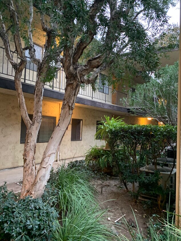 7632 Topanga Canyon Blvd Unit 219, Canoga Park, CA 91304 Condo for