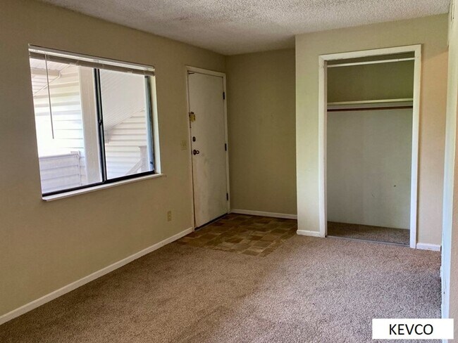 Foto del edificio - Fantastic Apartment, Right by CSU!