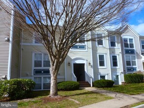 Building Photo - 20595 Cornstalk Terrace