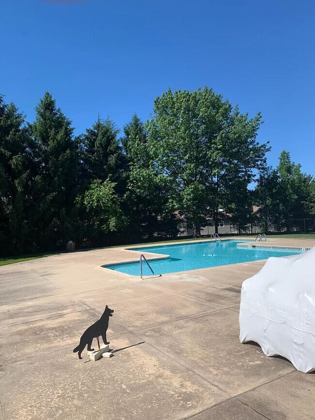 Building Photo - 241 Tulip Tree Ct