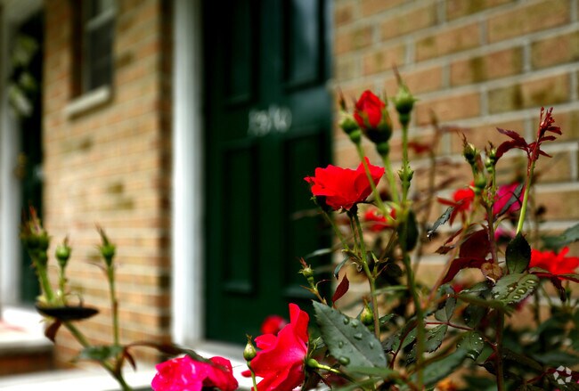 Foto del edificio - White Pine Townhomes and Apartments