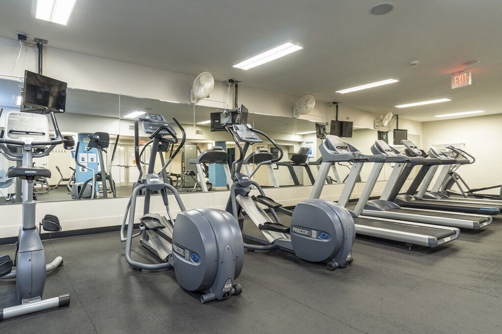 20 Chapel St Unit B, Brookline, MA 02446 Condo for Rent in Brookline