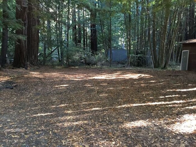 Building Photo - Come home to Cazadero