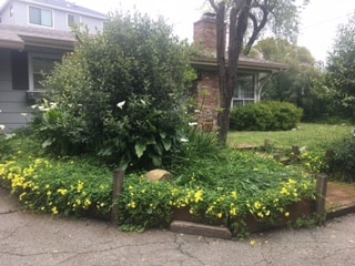 Building Photo - 2231 Overlook Dr