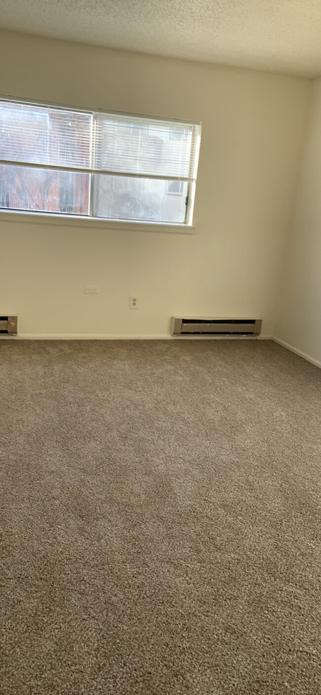 Estado de la alfombra - 14704 E 2nd Ave