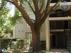 Foto principal - 2430 Cromwell Cir