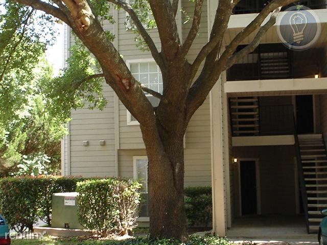 Foto principal - 2430 Cromwell Cir