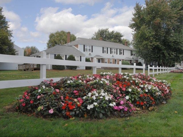 Foto principal - Chicopee Village Townhomes