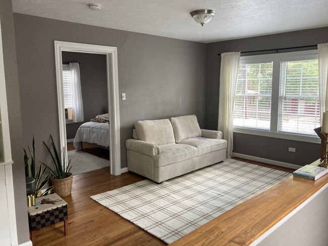 Living Room - 4710 Mt Vernon St
