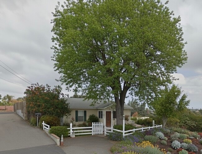 Building Photo - 1515 Lovely Ln