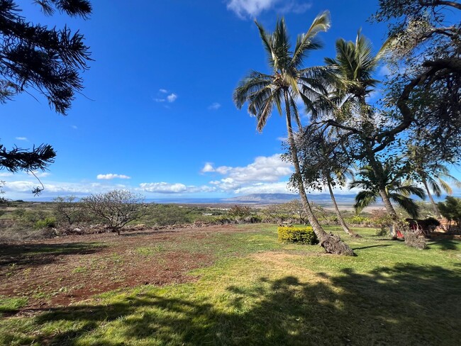 Foto del edificio - Kula Ohana