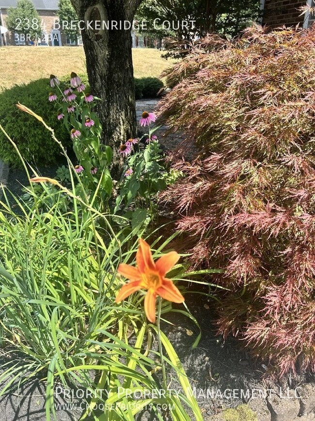 Photo - 2384 Breckenridge Ct Townhome