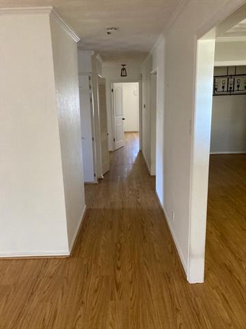 Foto del edificio - 11315 Lochwood Blvd