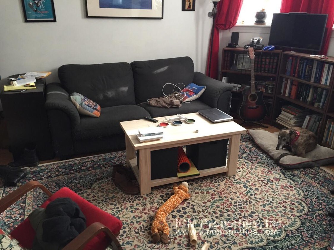 Primary Photo - Modern 1 Bed in Ravenswood - Central Air!