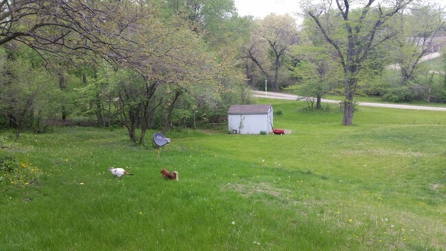 Foto del edificio - 39 W Timberline Dr