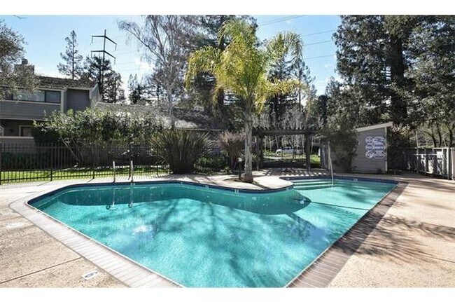 Shared Pool - 406 Clearview Dr