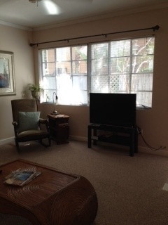 Photo - 503 E. Amelia Street Townhome