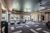 This fitness center is a thoughtfully designed, single-floor facility that offers a comprehensive workout environment. The space is immediately distinguished by its bold ceiling design, featuring a vivid teal upper section framed by a warm orange accent band, complemented by recessed lighting and large ceiling fans that ensure strong air circulation throughout. The patterned herringbone carpet tiles in varying shades of gray, burgundy, and taupe add a modern aesthetic underfoot while defining distinct workout zones.

The cardio area is generously outfitted with multiple treadmills, elliptical trainers, and a recumbent bike, all positioned to face large windows that invite abundant natural light and provide pleasant outdoor views of surrounding greenery. Wall-mounted flat-screen televisions are positioned throughout, allowing members to stay entertained during their workouts.

A dedicated strength training zone features a multi-functional cable rack system, complete with a punching bag attachment, providing versatile options for resistance and functional training. Full-length mirrors along one wall visually expand the space and assist with form during exercise.

The facility also includes a water fountain station, a hand sanitizer dispenser, and clearly marked exits. A set of modern wood-framed glass entry doors with sidelights creates a welcoming entrance, and additional restroom access is available within the space.
