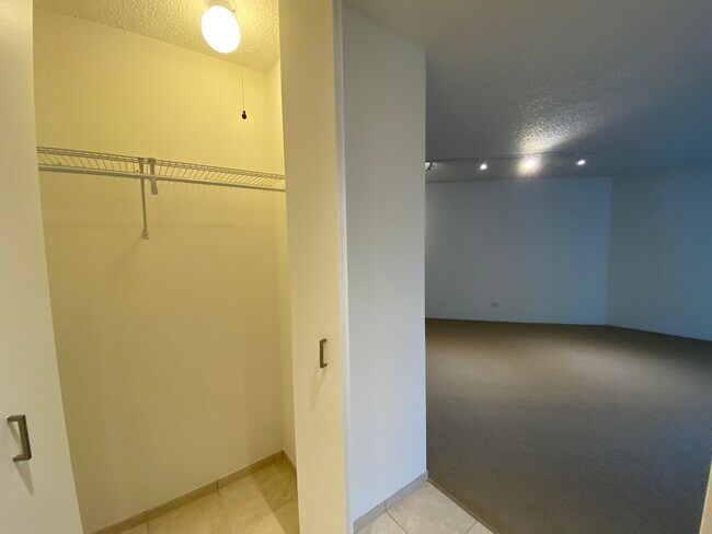 Entry Closet - 110 W Huron St